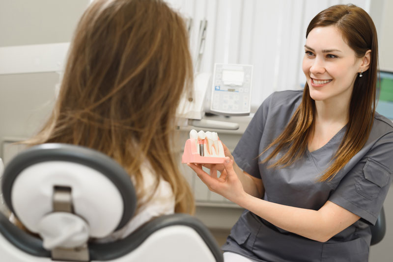 a dental assistant showing off a dental implant model.