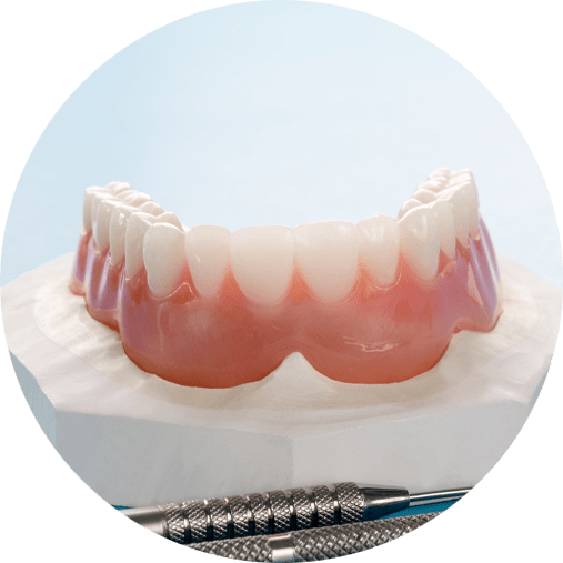 denture model